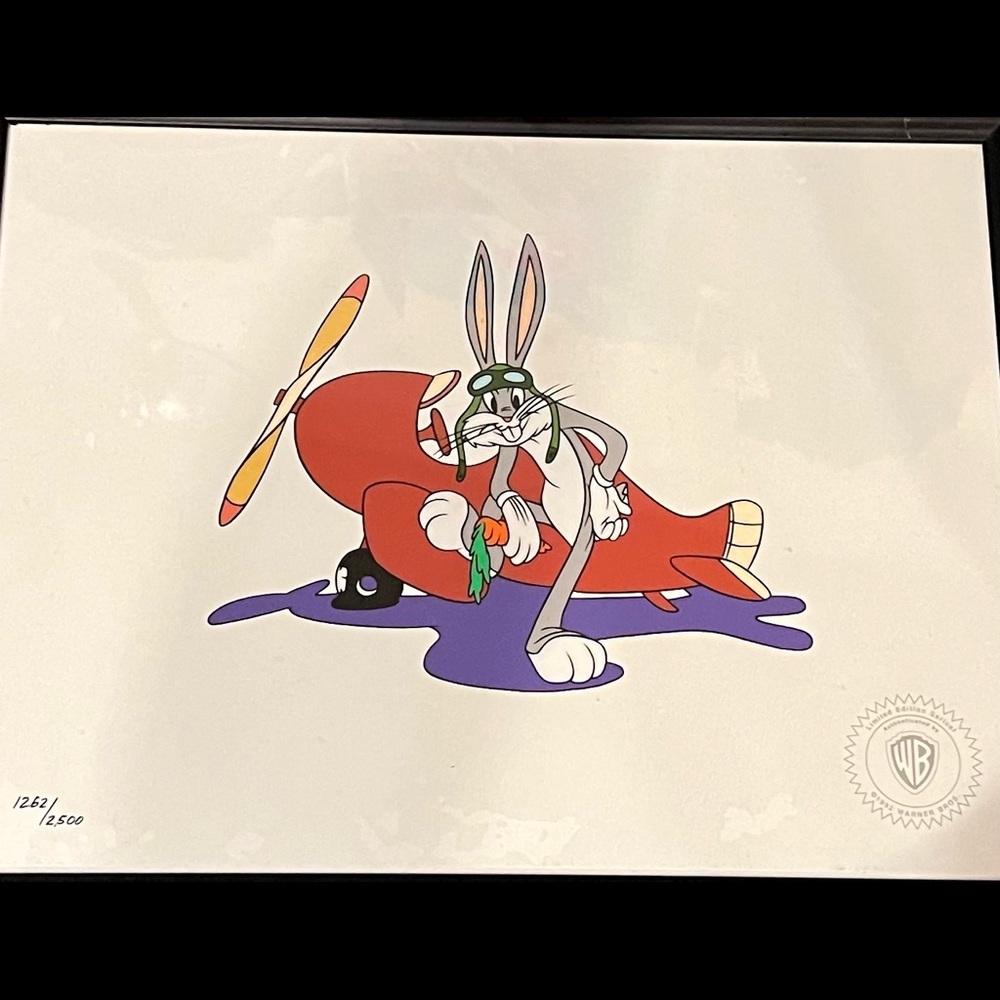Warner brothers Bug’s bunny plane